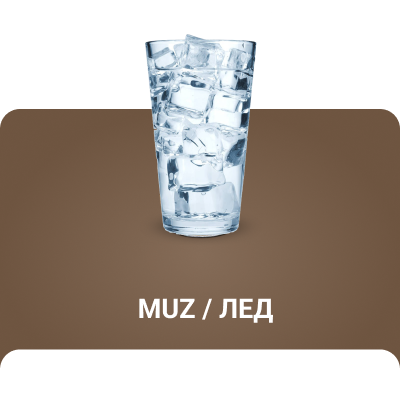 Muz